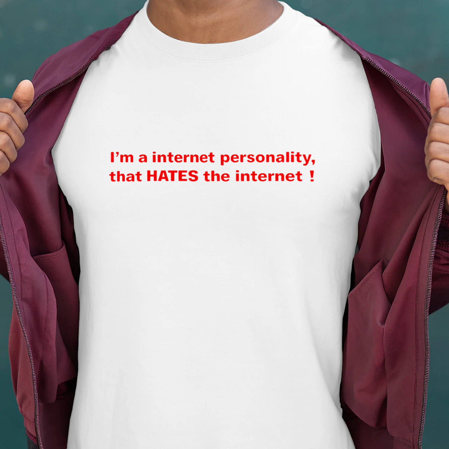I'm a internet personality, that HATES the internet