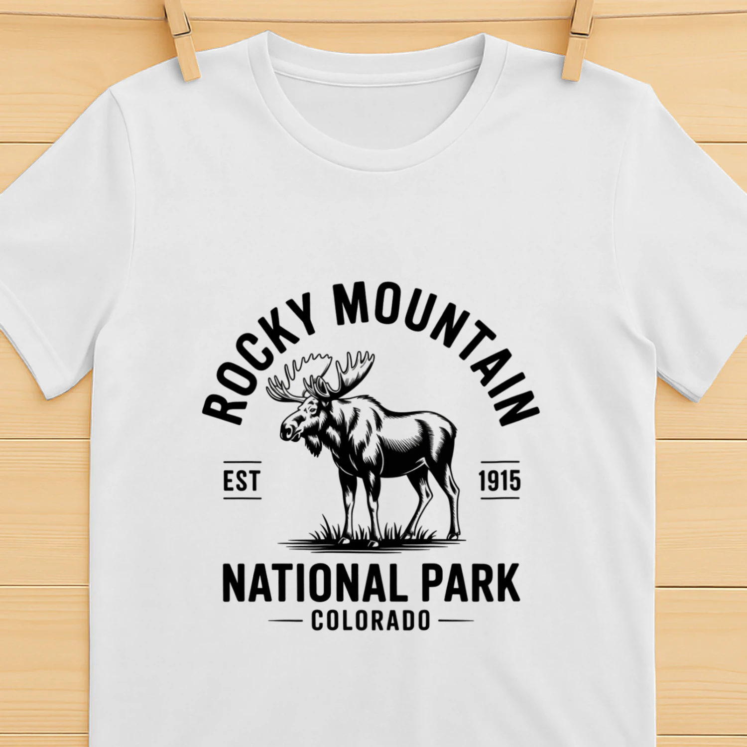 Rocky Mountain National Park Retro Graphic Design