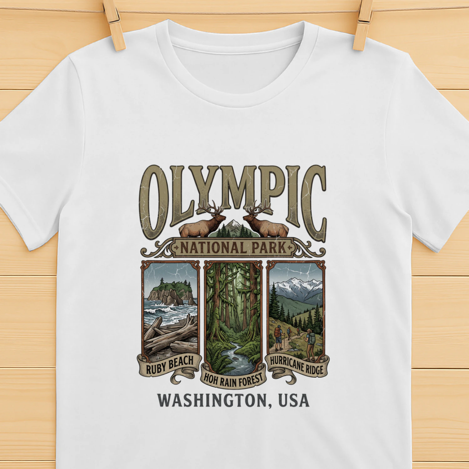Olympic National Park Washington Vintage Triptych Art _ Ruby Beach, Hoh Rain Forest & Hurricane Ridge