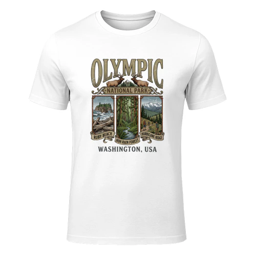 Olympic National Park Washington Vintage Triptych Art _ Ruby Beach, Hoh Rain Forest & Hurricane Ridge