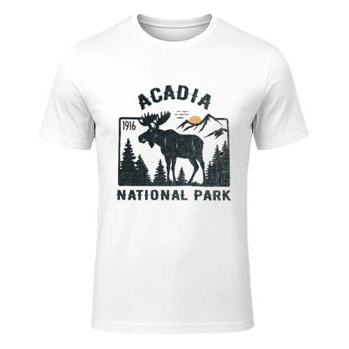 Retro Acadia Coastline Scenic T-shirt