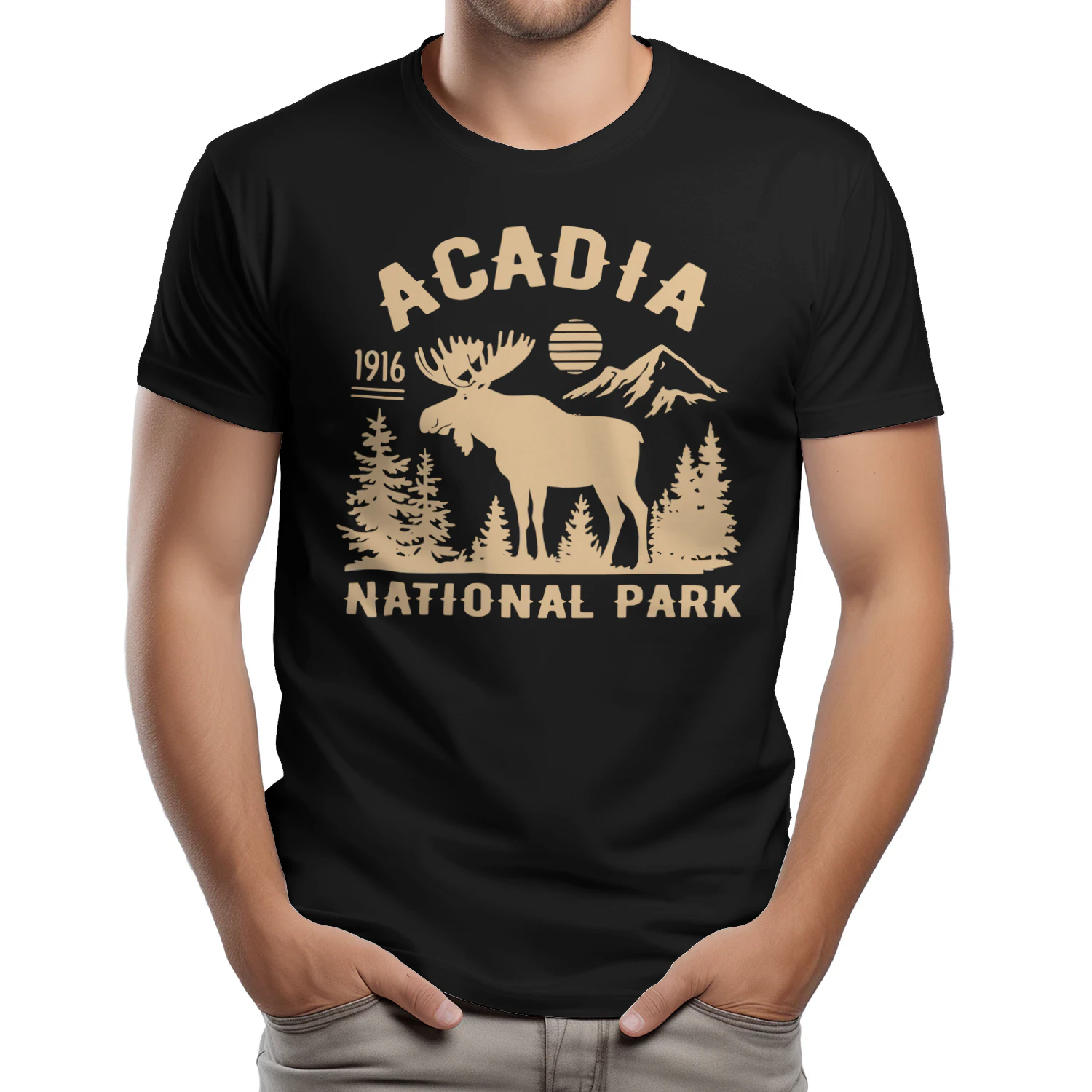 Acadia National Park Hiking Trails Design