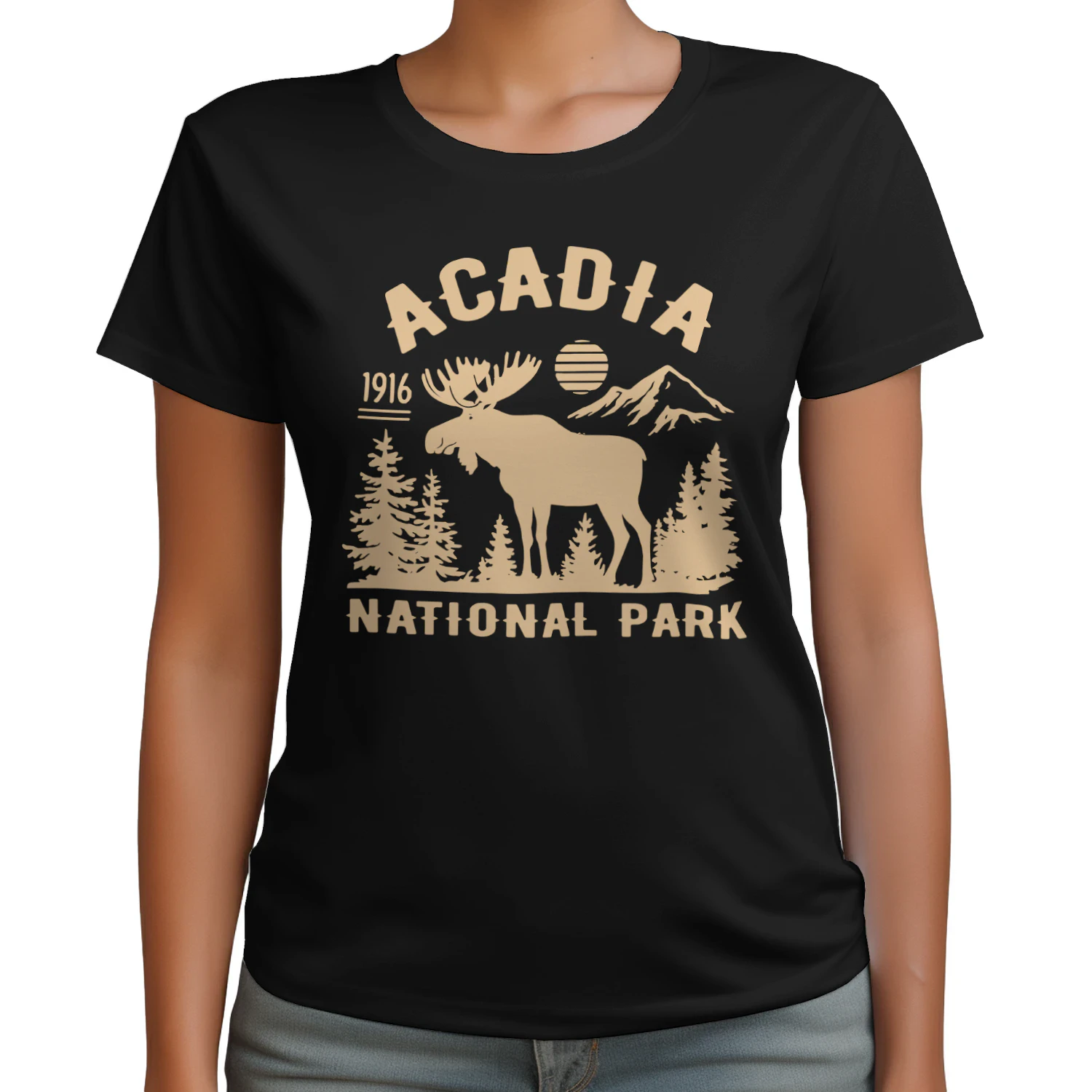 Acadia National Park Hiking Trails Design
