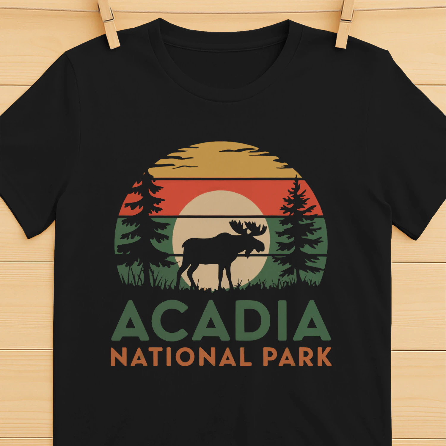 Vintage Acadia National Park Adventure Tee