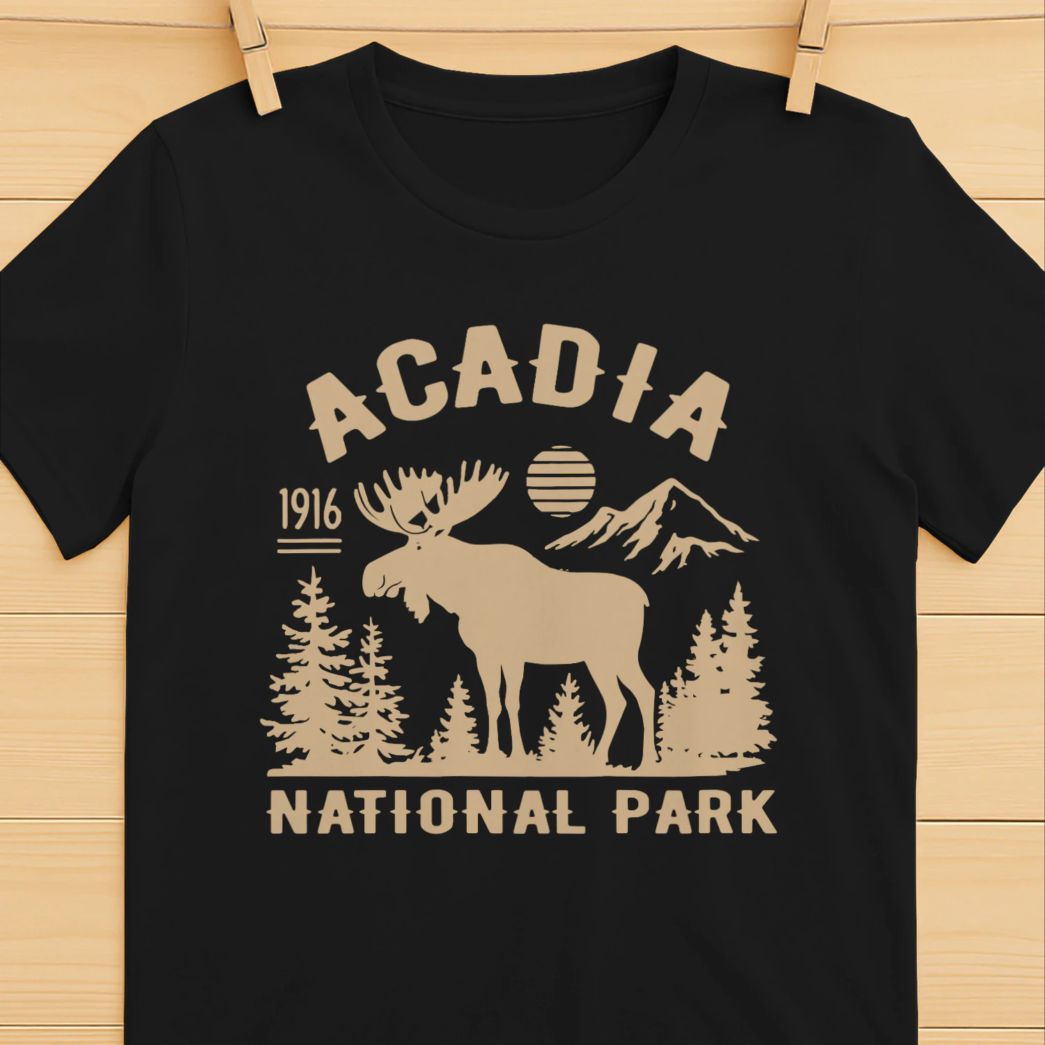 Acadia National Park Hiking Trails Design