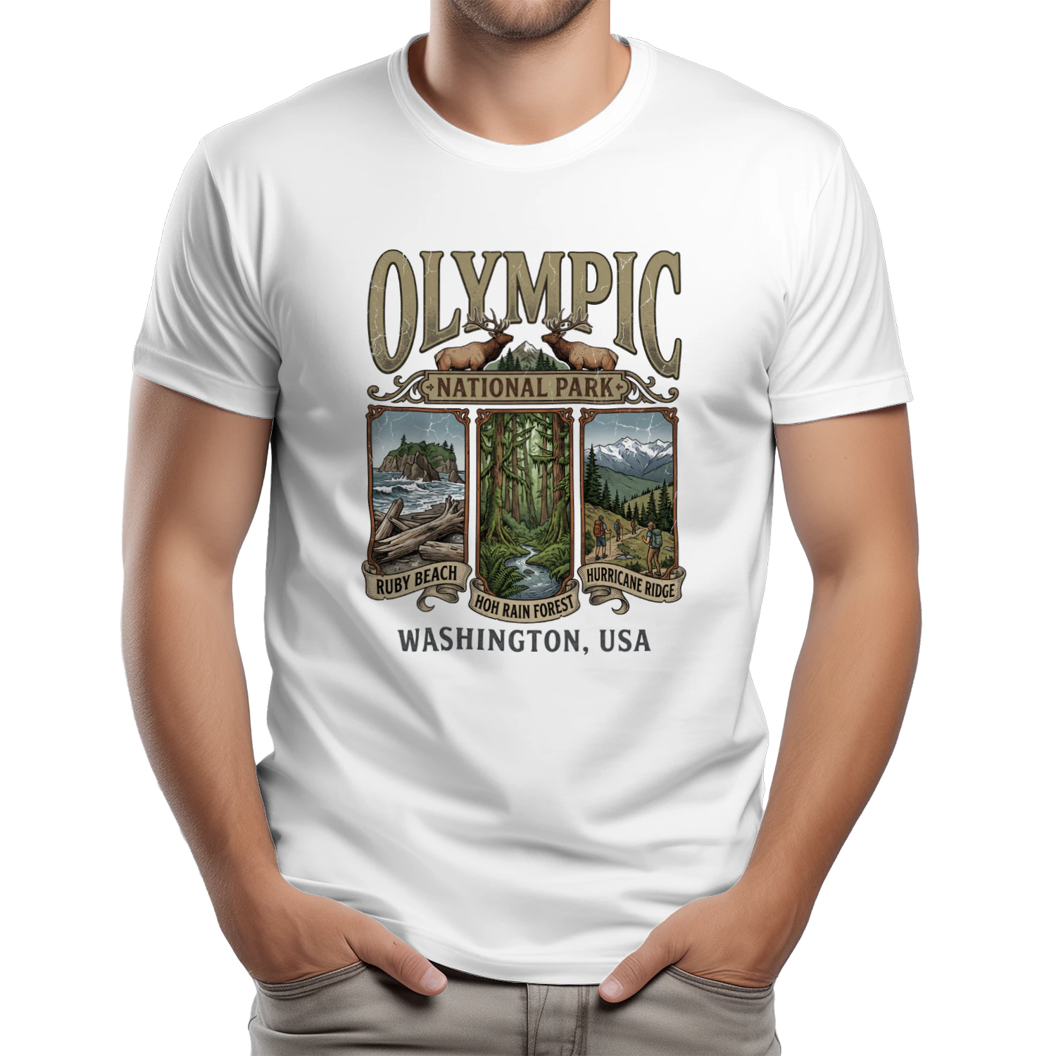 Olympic National Park Washington Vintage Triptych Art _ Ruby Beach, Hoh Rain Forest & Hurricane Ridge