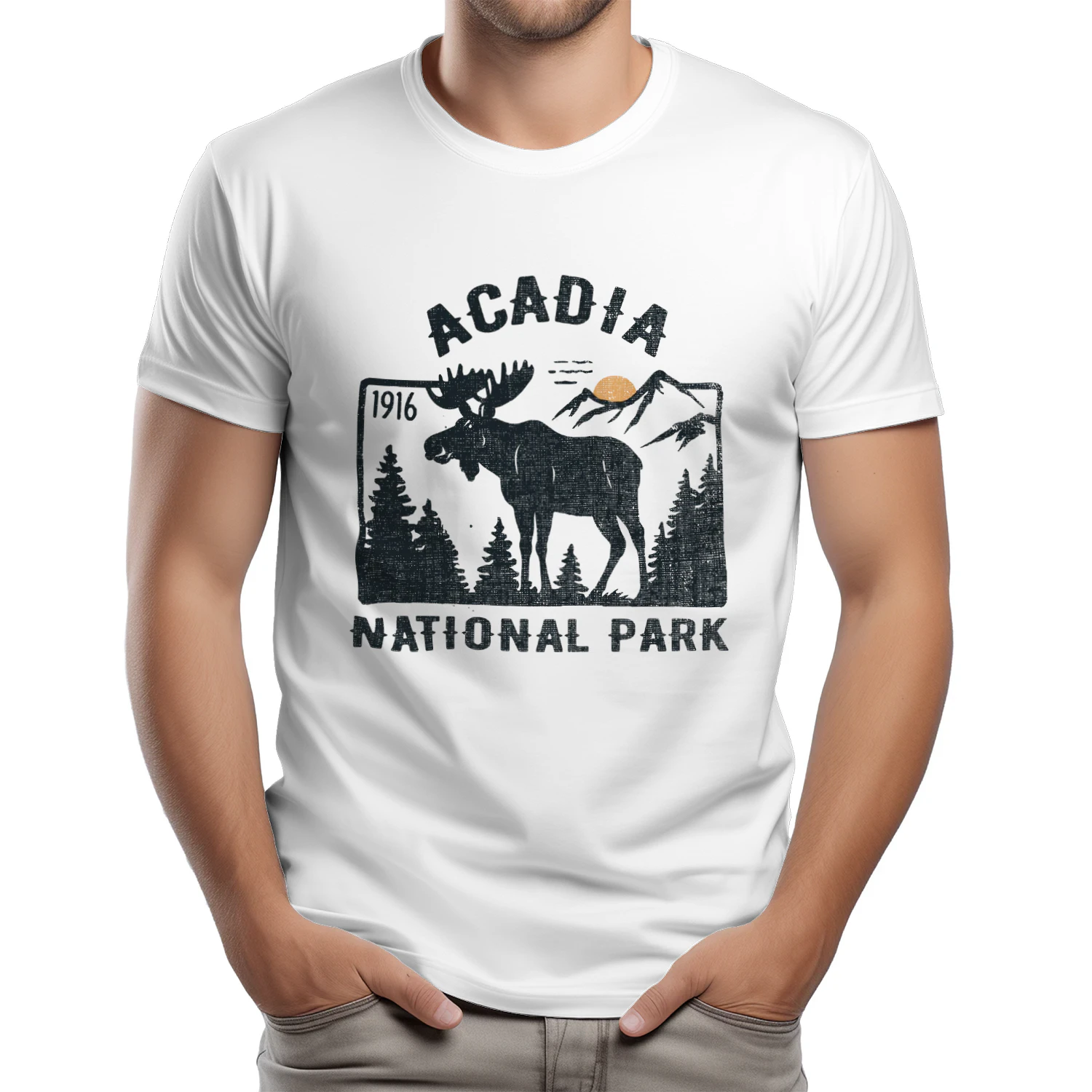 Retro Acadia Coastline Scenic T-shirt