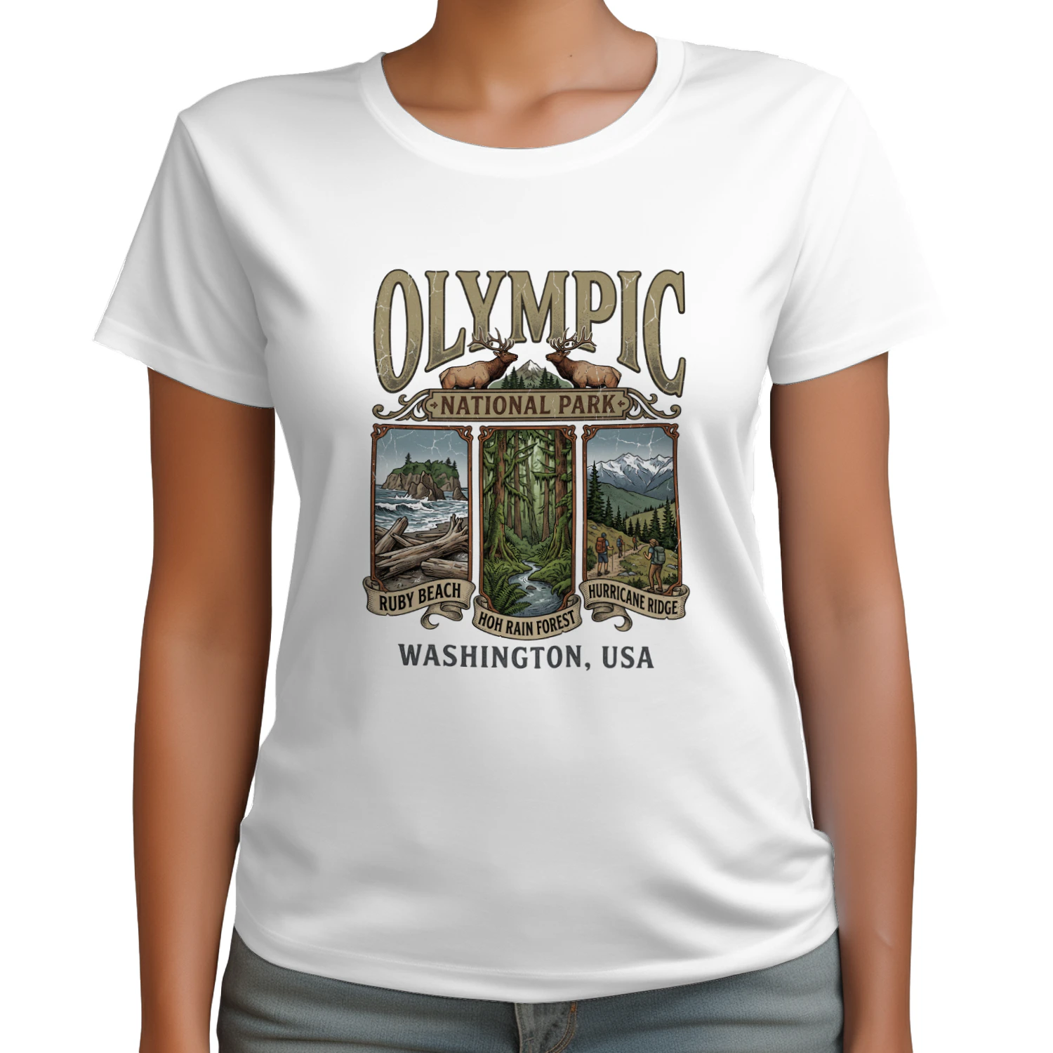 Olympic National Park Washington Vintage Triptych Art _ Ruby Beach, Hoh Rain Forest & Hurricane Ridge