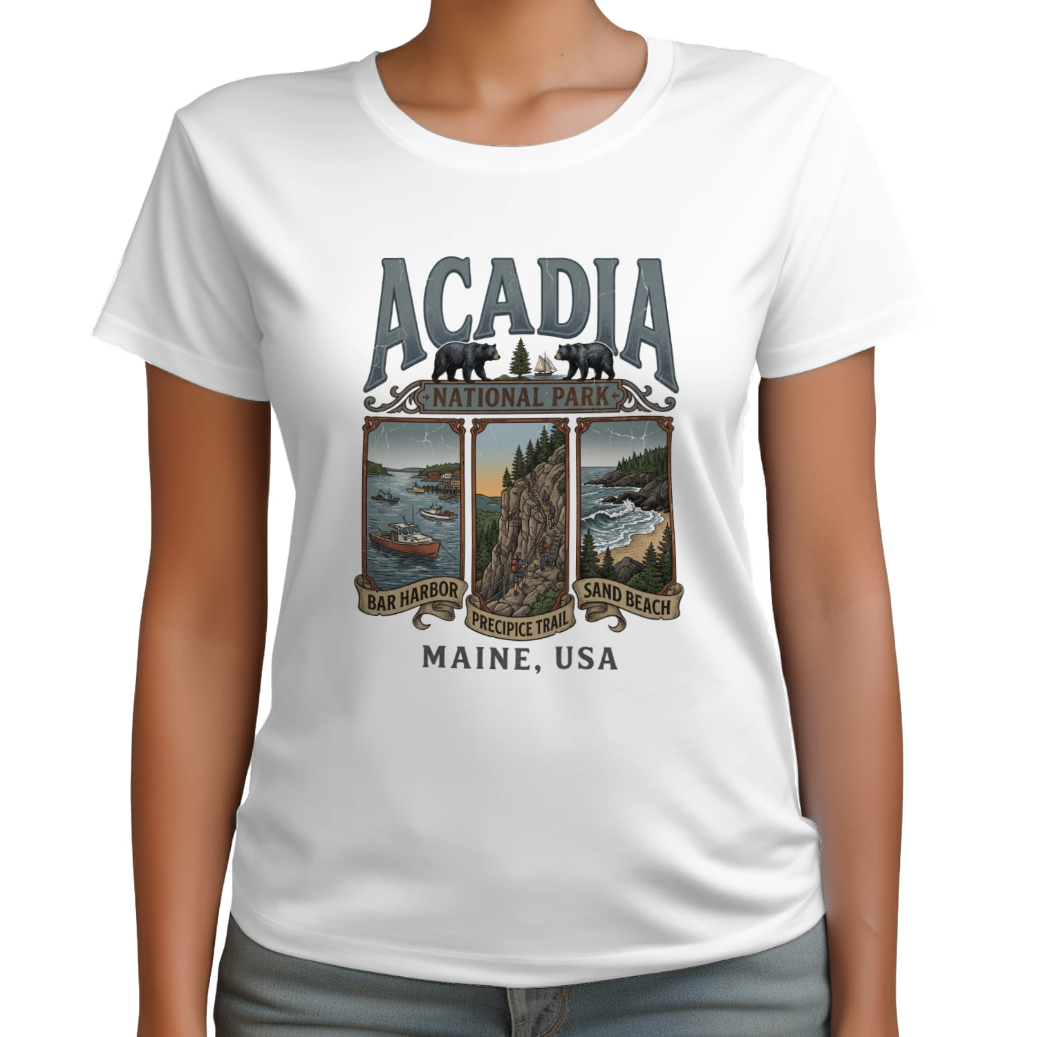 Acadia National Park Retro Poster Art _ Bar Harbor, Precipice Trail, Sand Beach Maine Hiking Design