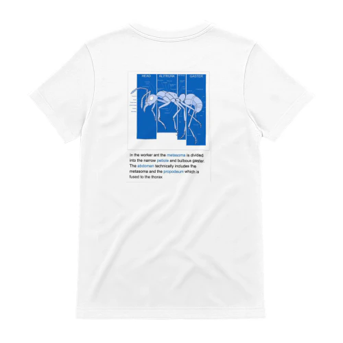 LIMITED EDITION          