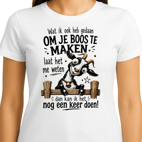Dan Doe Ik Het Nog Een Keer! T-shirt