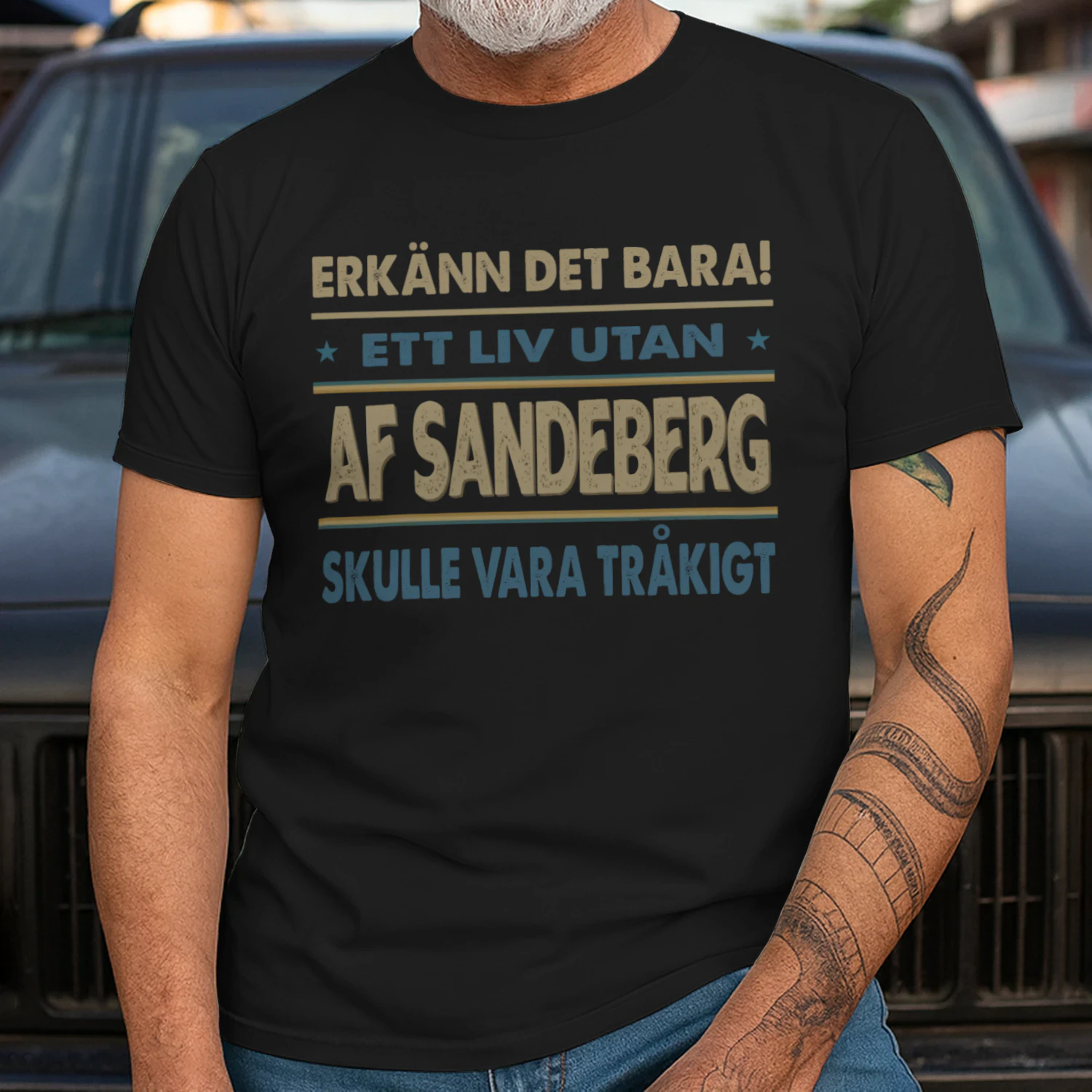 T1SD4147 Af Sandeberg SA1