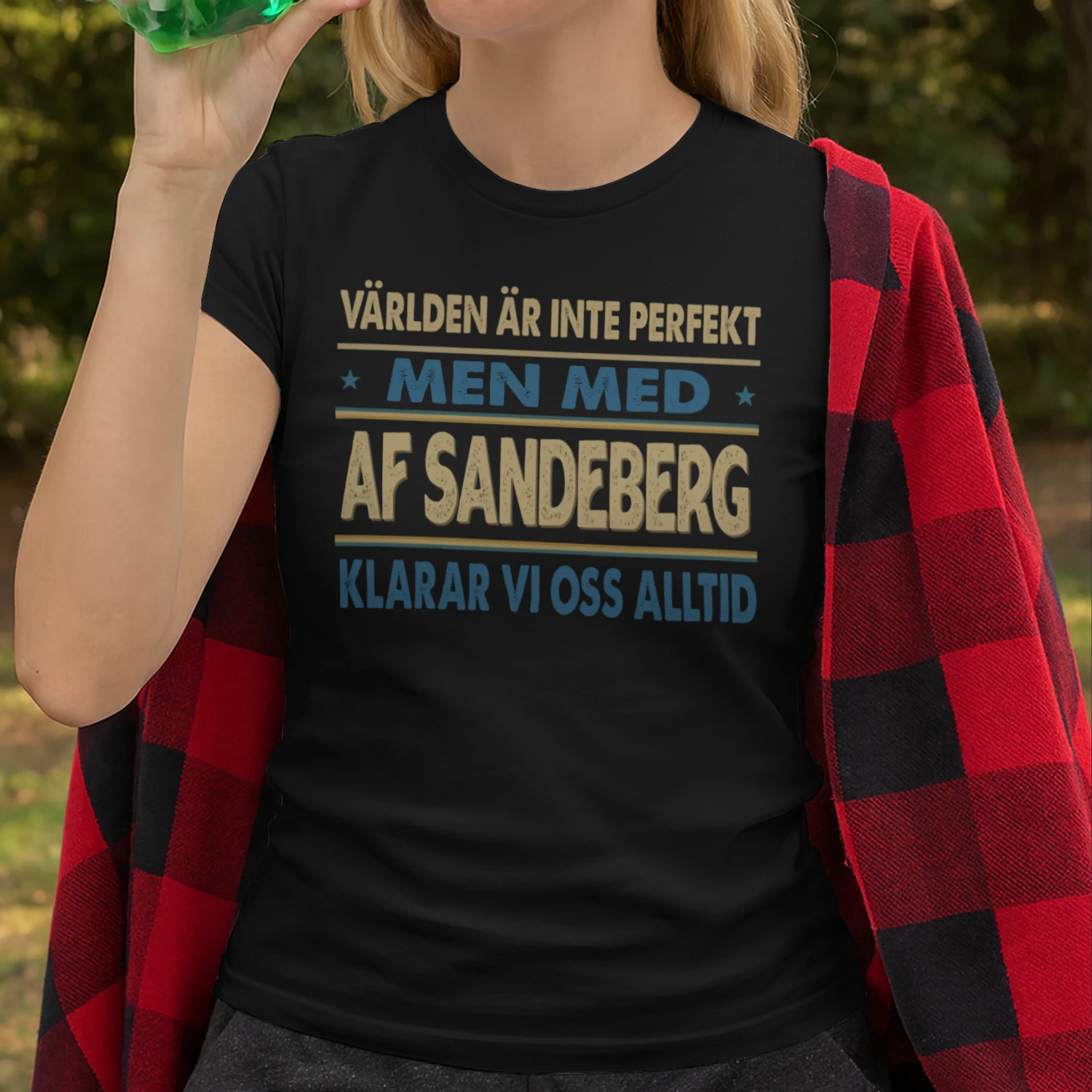 T1SD4147 Af Sandeberg SA2
