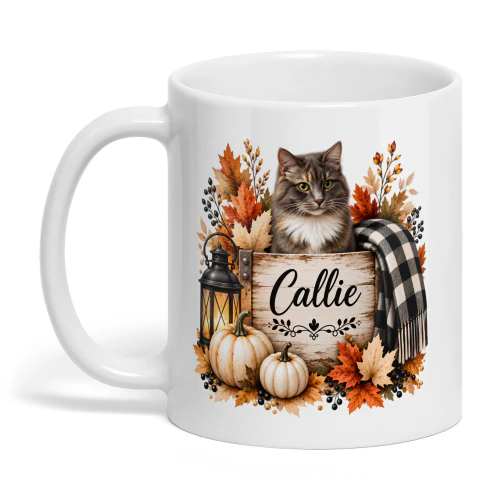 Callie Cozy Fall Cat 