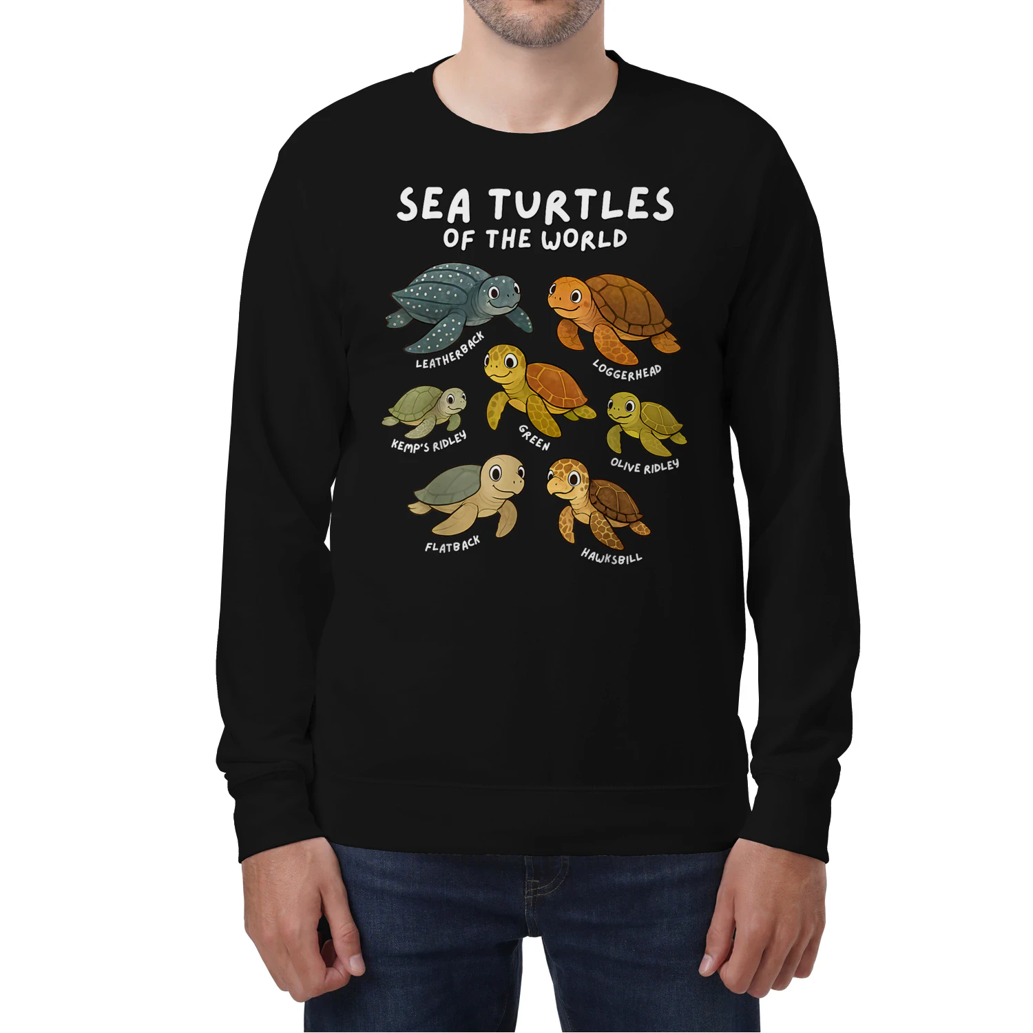 Sea Turtles of the World Educational Animal