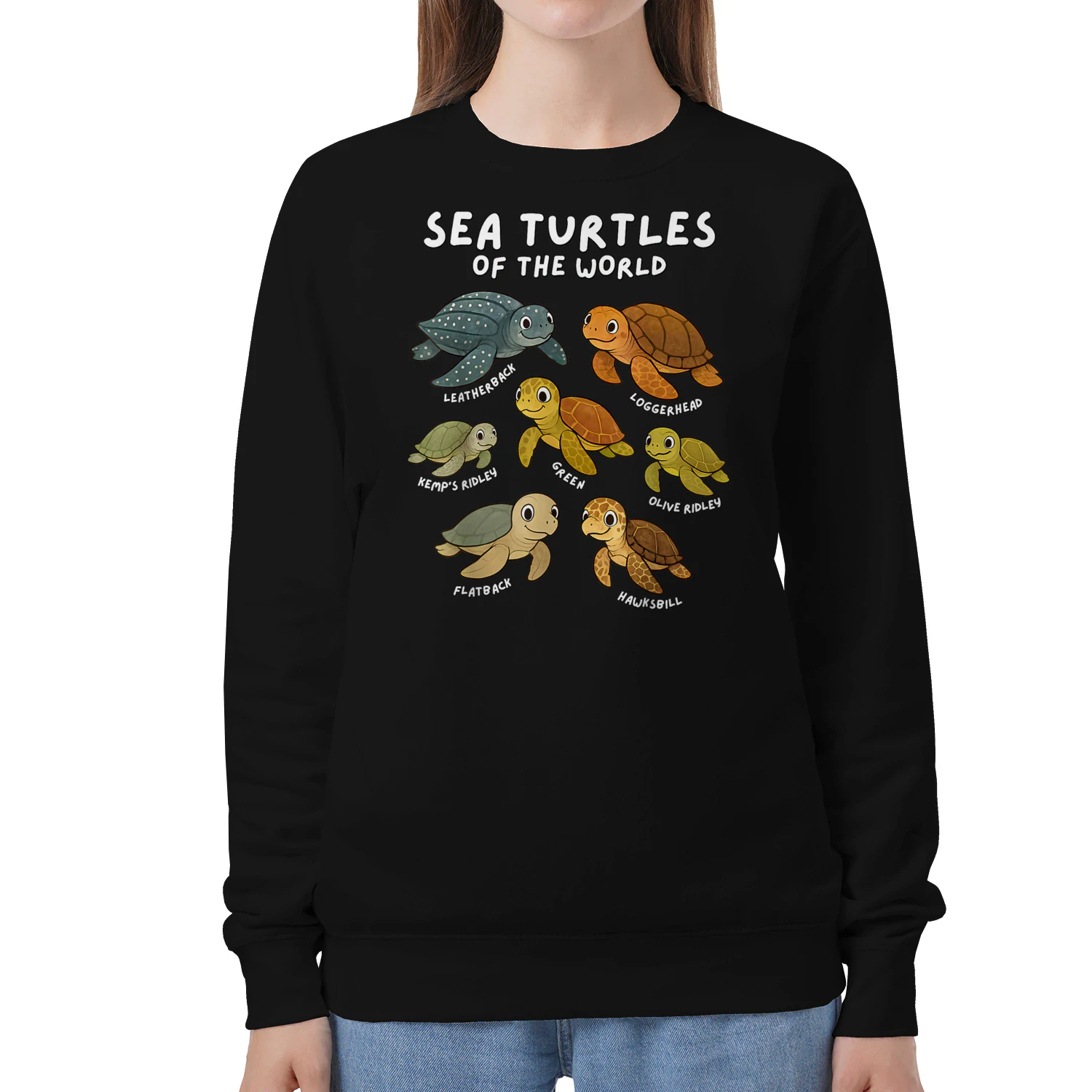 Sea Turtles of the World Educational Animal