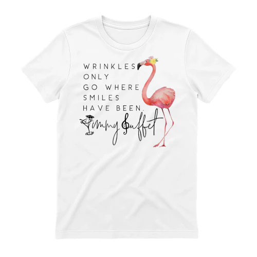 Vintage Wrinkles Only Go Where Smiles HaveBeen Cute Flamingo
