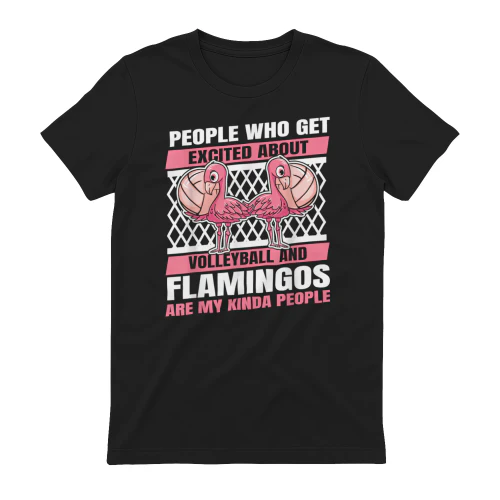 Volleyball Beach - Vball Volleyball Flamingo