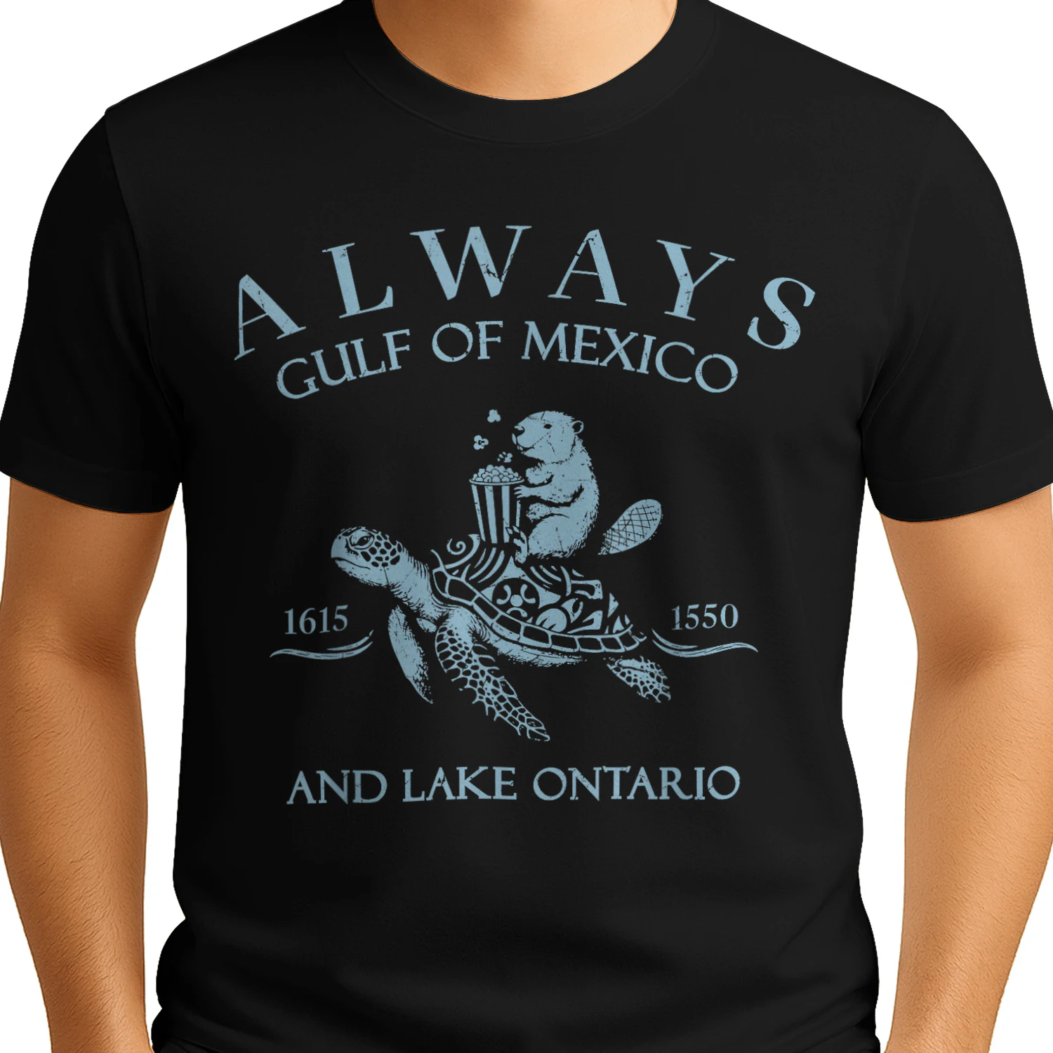 Always Lake Ontario and The Gulf of Mexico Turtle