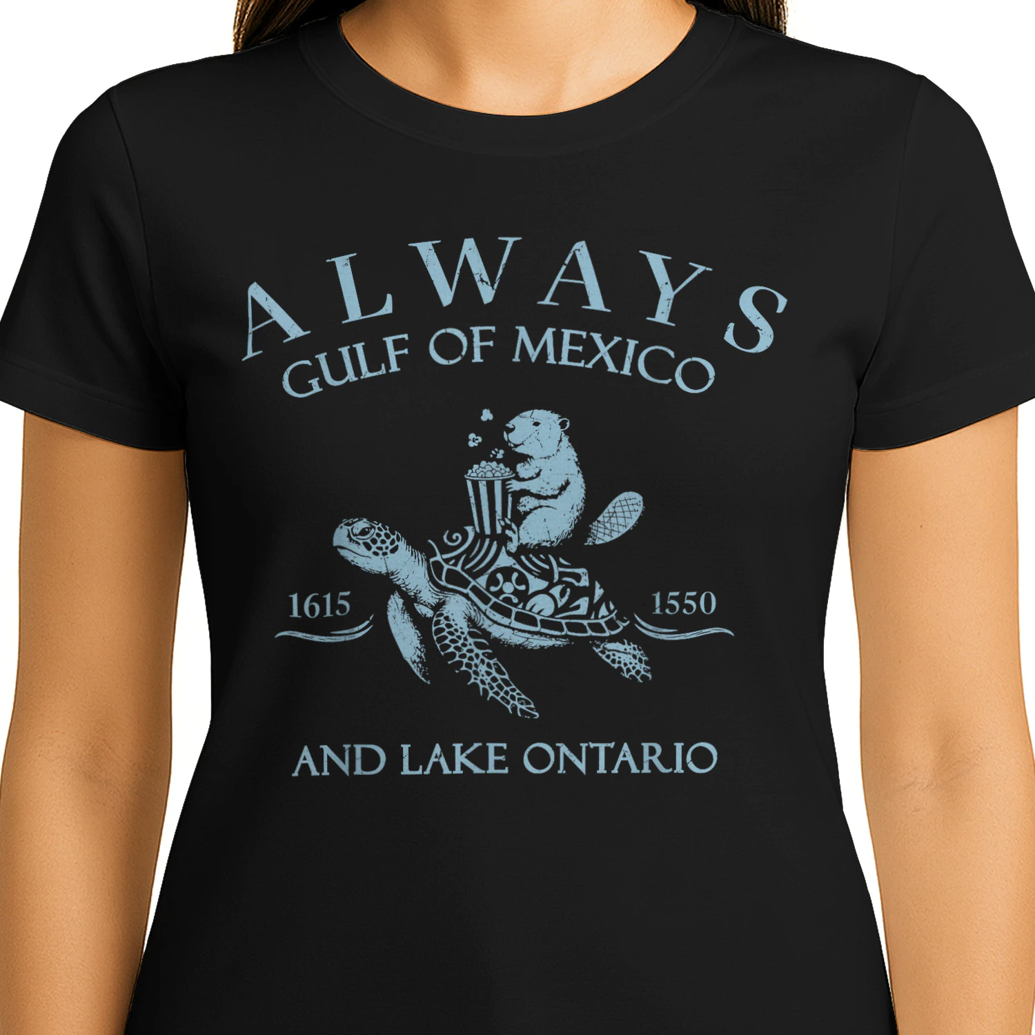 Always Lake Ontario and The Gulf of Mexico Turtle