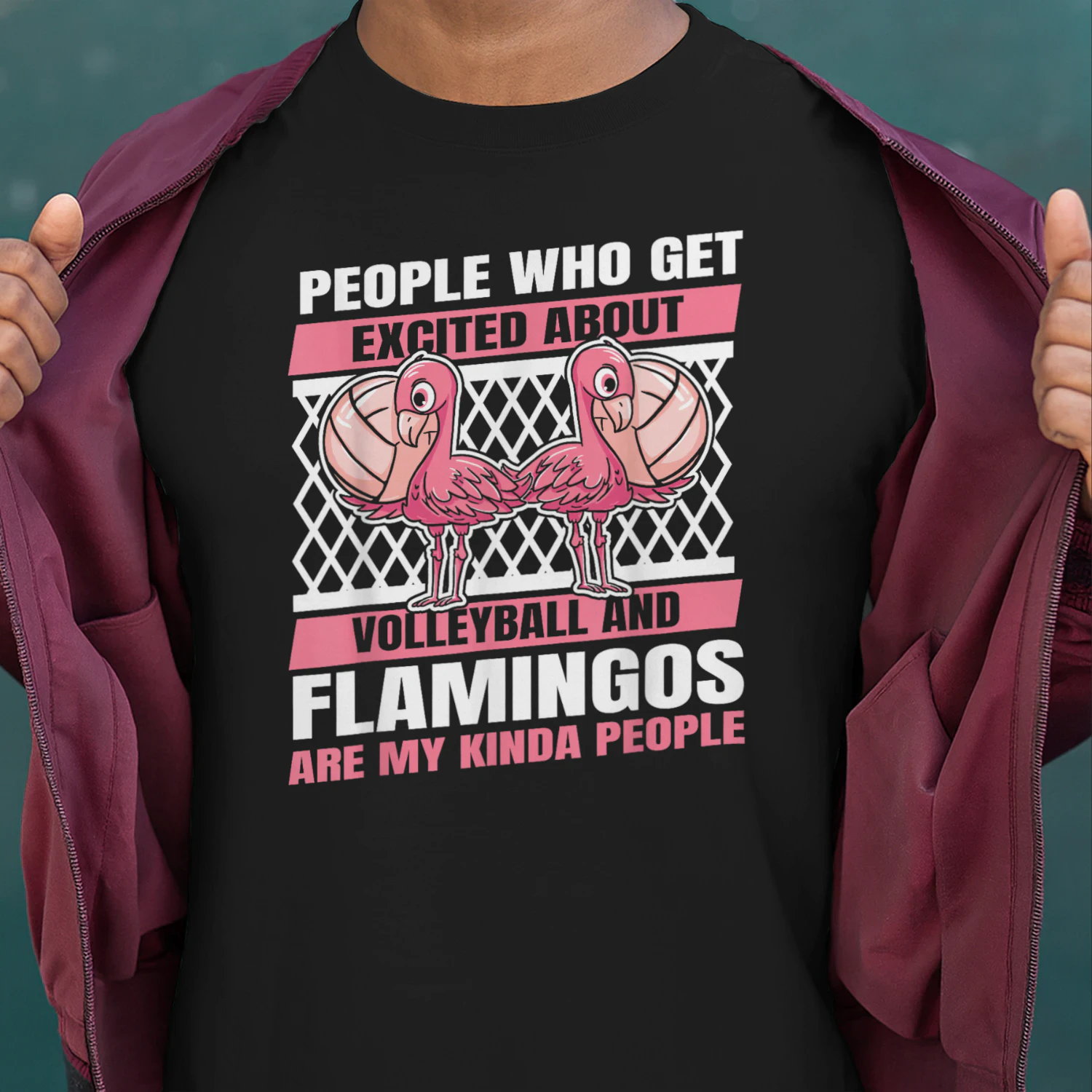 Volleyball Beach - Vball Volleyball Flamingo