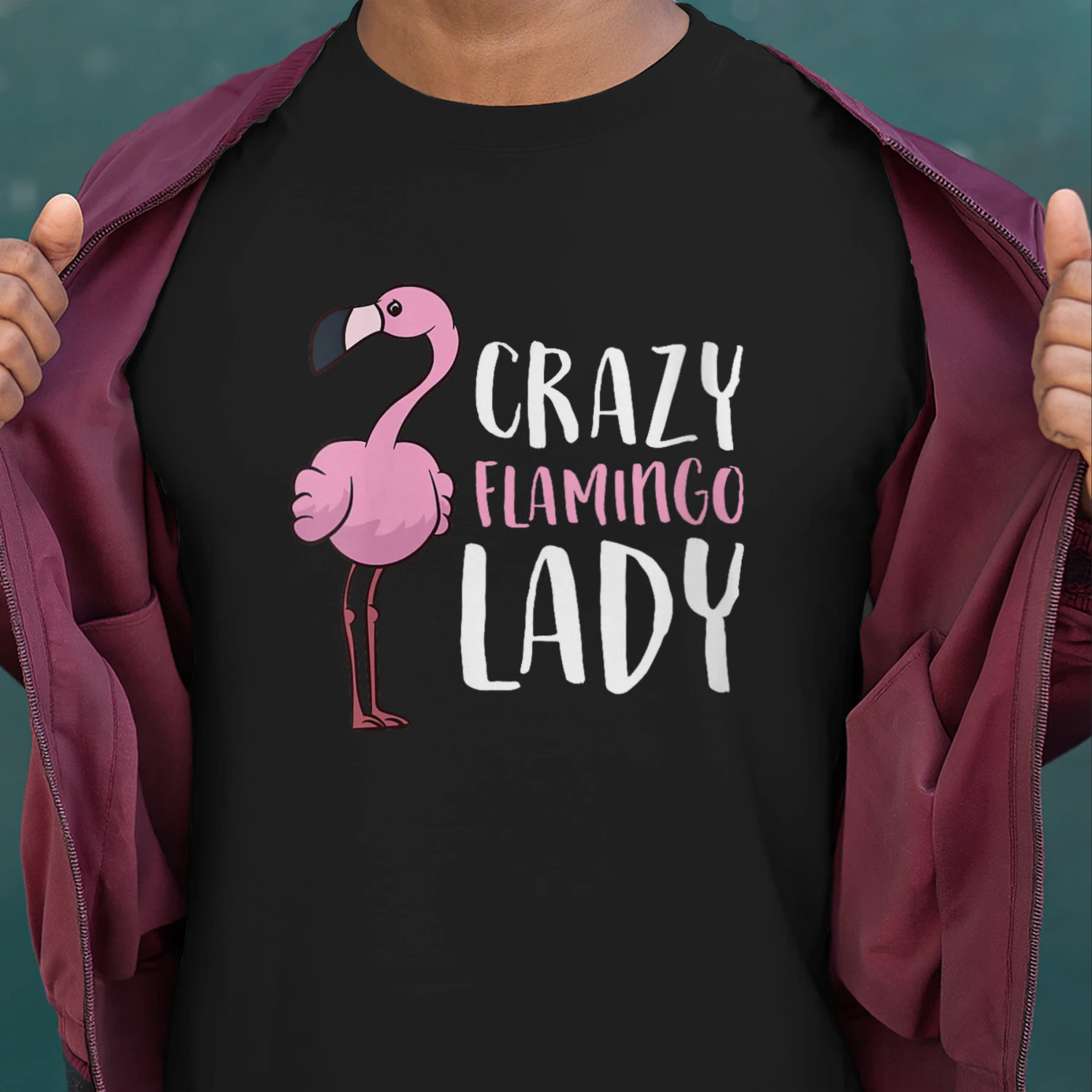 Womens Women Love Flamingos Flamingo Girl Crazy Flamingo Lady V-Neck