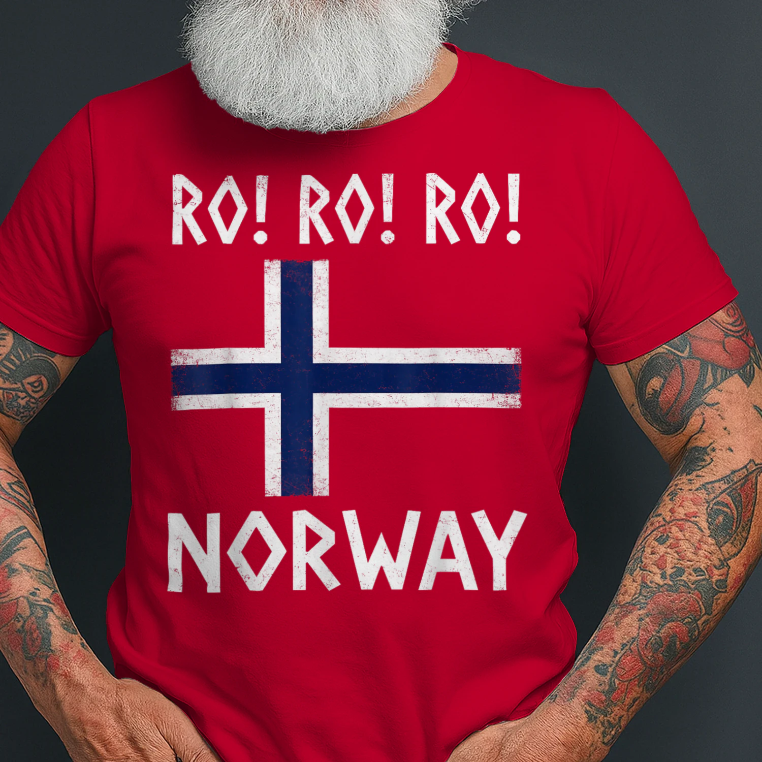 Row Norwegian Viking Norway Flag Culture Row