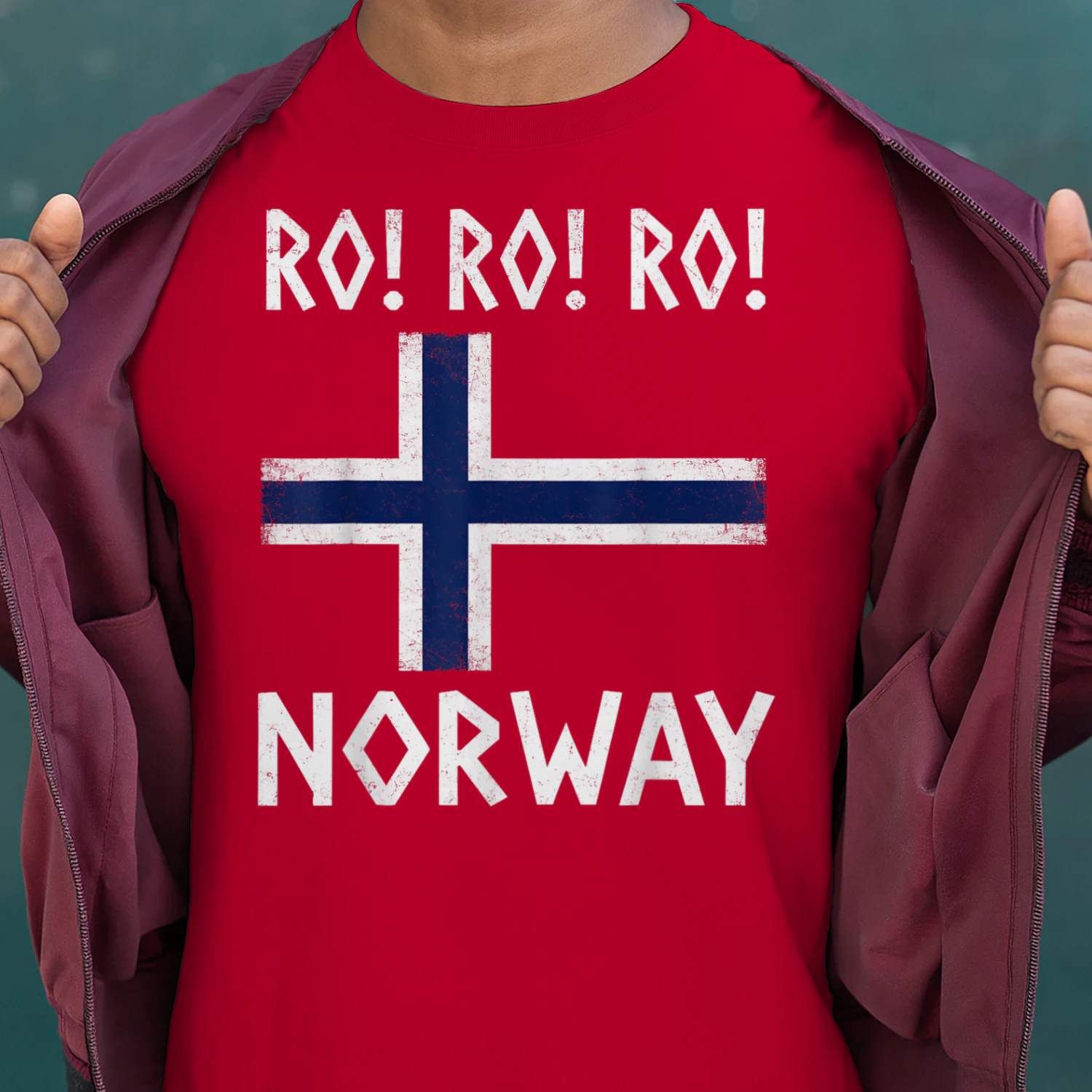 Row Norwegian Viking Norway Flag Culture Row