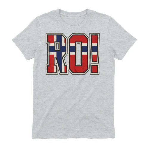 Norwegian Flag Letters Soccer Match Fan