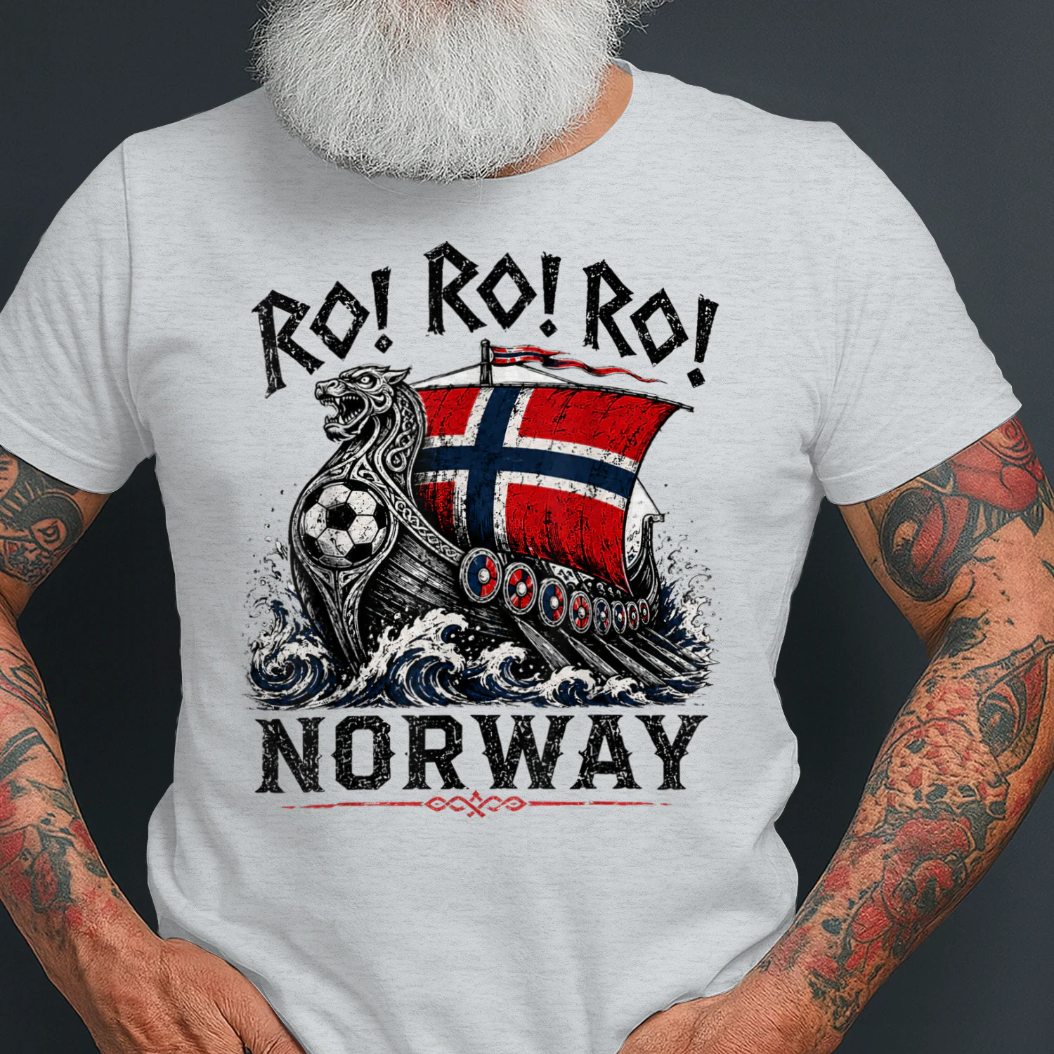 Ro Ro Norwegian Viking Ship Norway Flag Culture