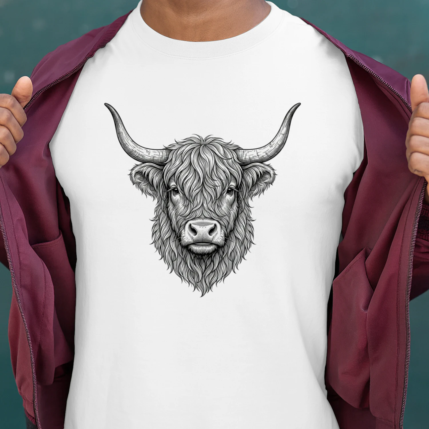 Highland Cow Head