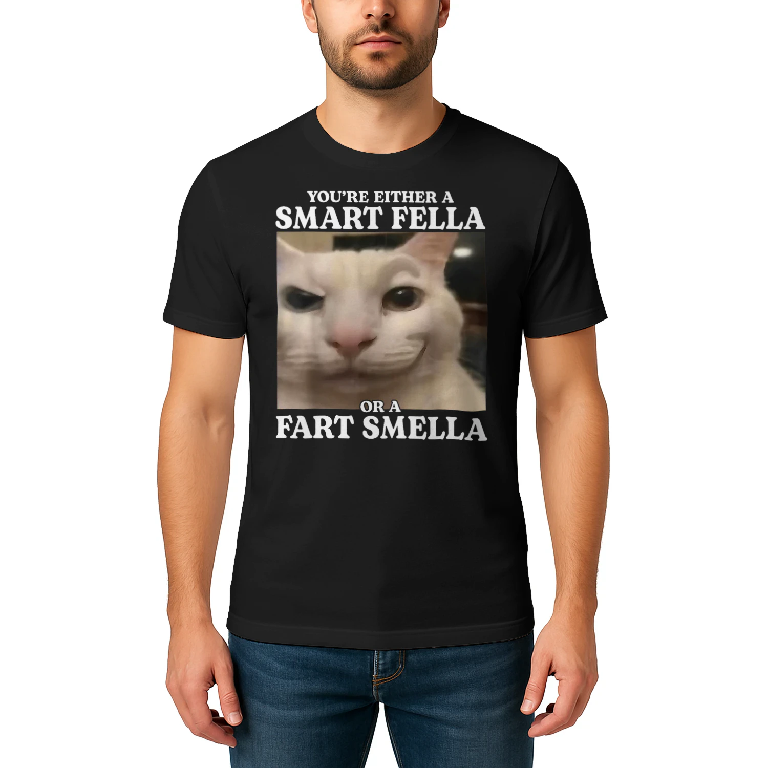 You're Either a Smart Fella or a Fart Smella Funny Cat Meme T Shirt CAT1695
