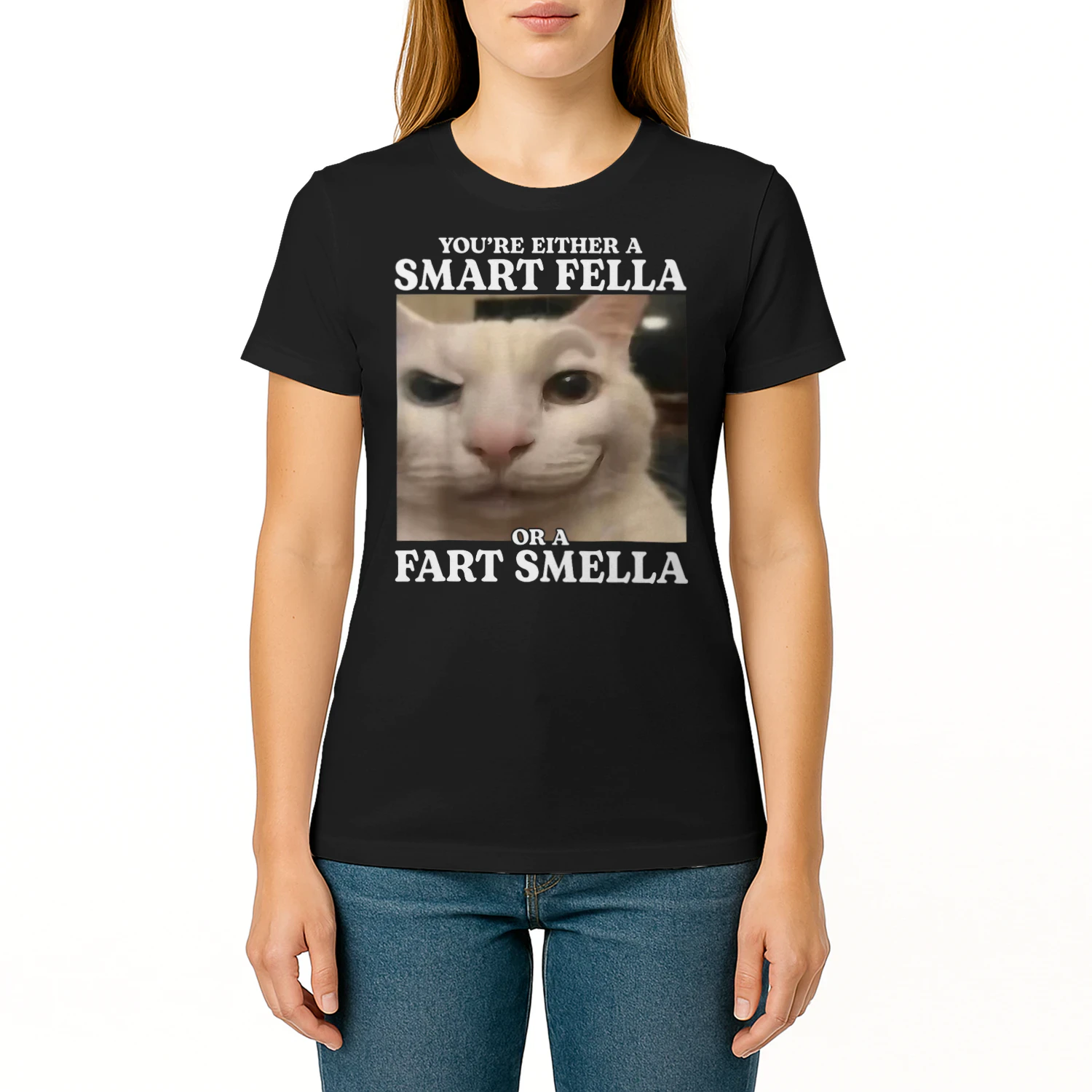 You're Either a Smart Fella or a Fart Smella Funny Cat Meme T Shirt CAT1695