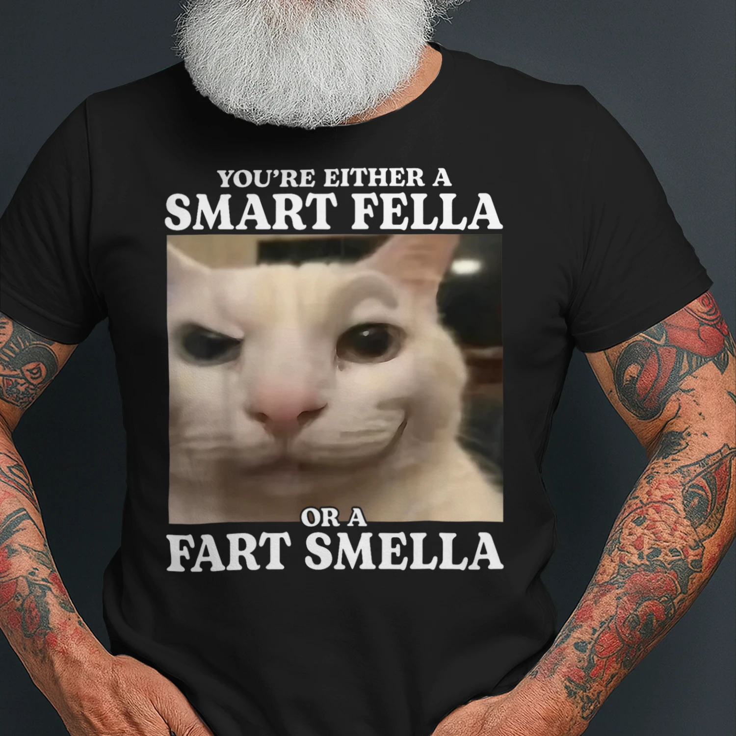 You're Either a Smart Fella or a Fart Smella Funny Cat Meme T Shirt CAT1695