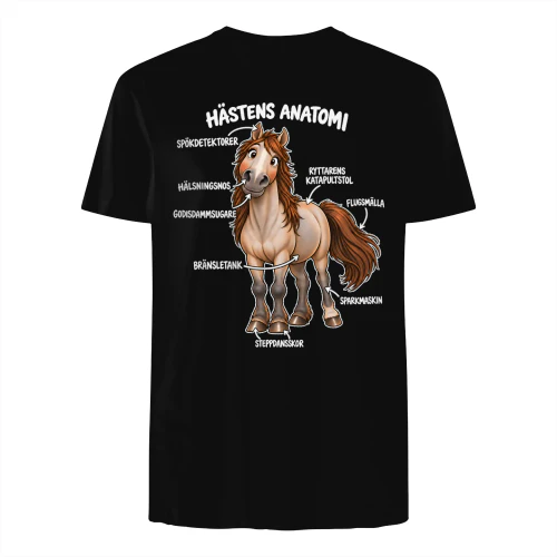 Hästens Anatomi