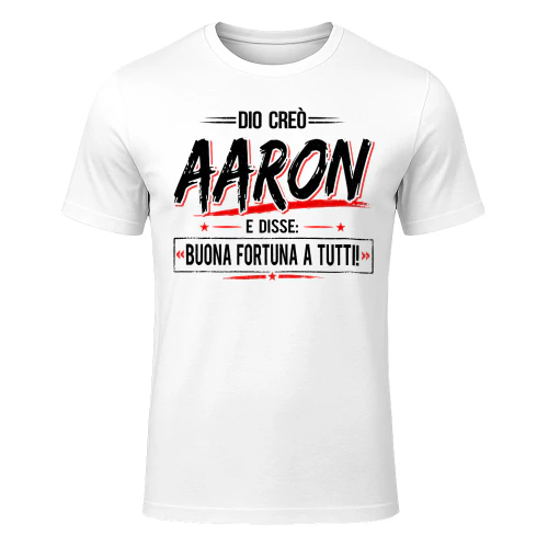 fnitm0445 Aaron mIT06