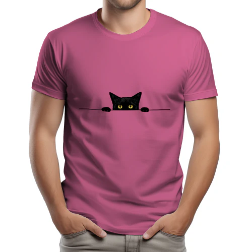 Curious Cat