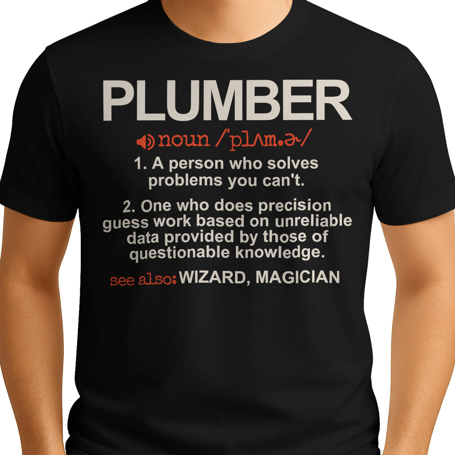 Plumber - A Person who solves problems you can't