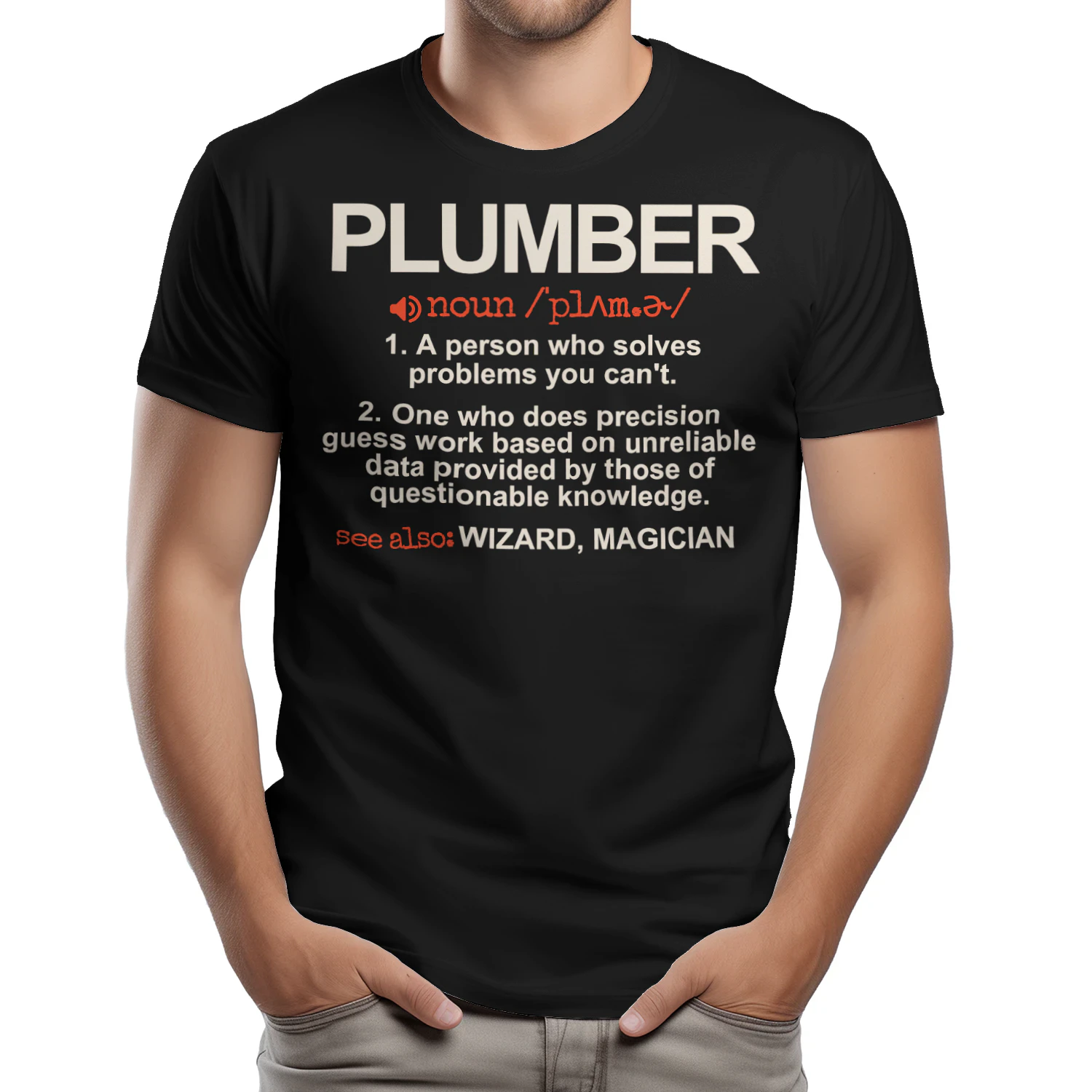 Plumber - A Person who solves problems you can't