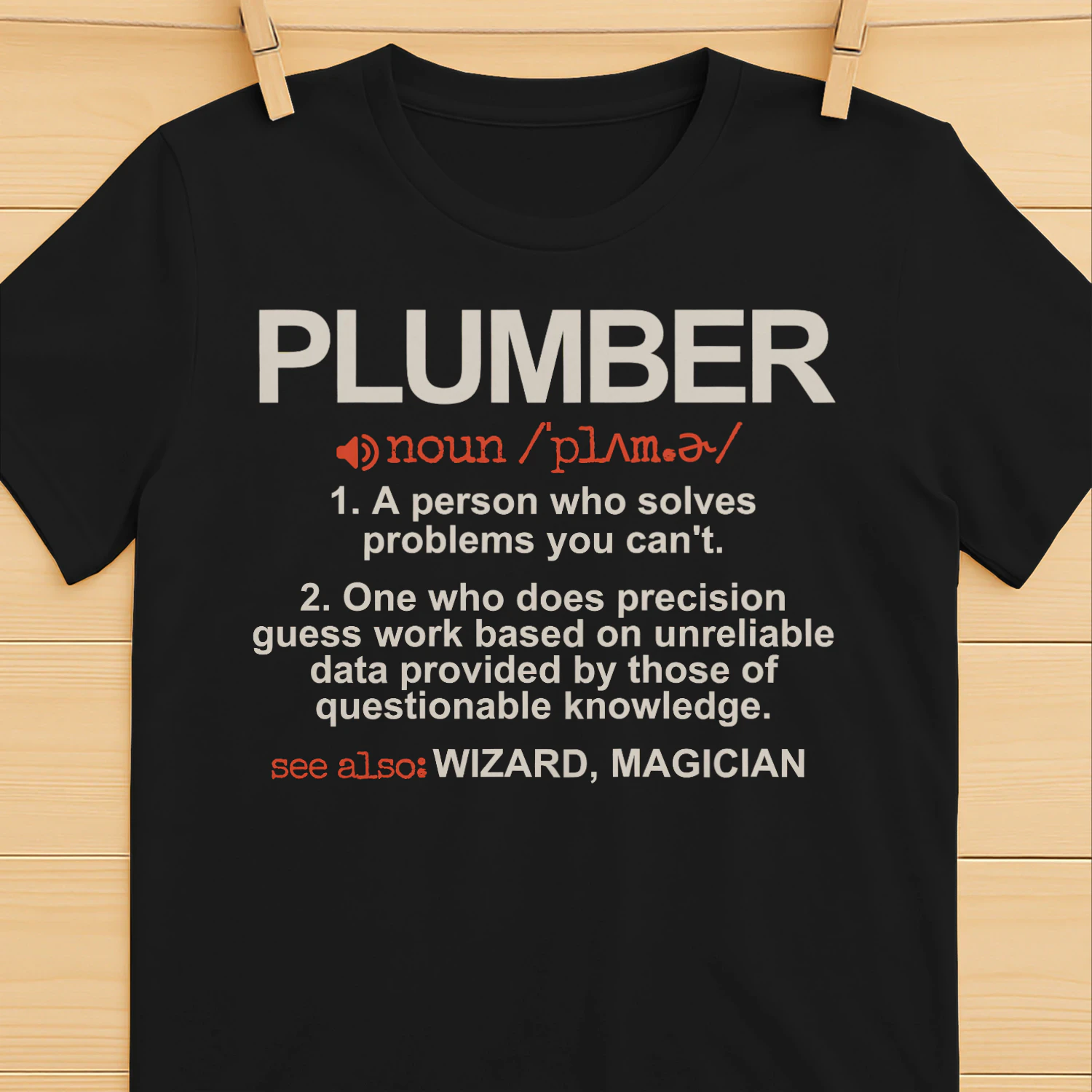 Plumber - A Person who solves problems you can't
