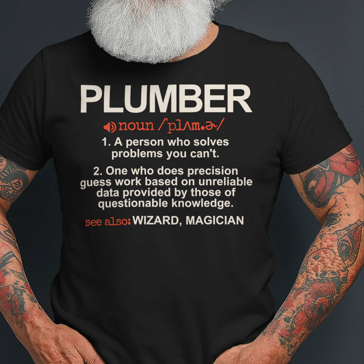 Plumber - A Person who solves problems you can't