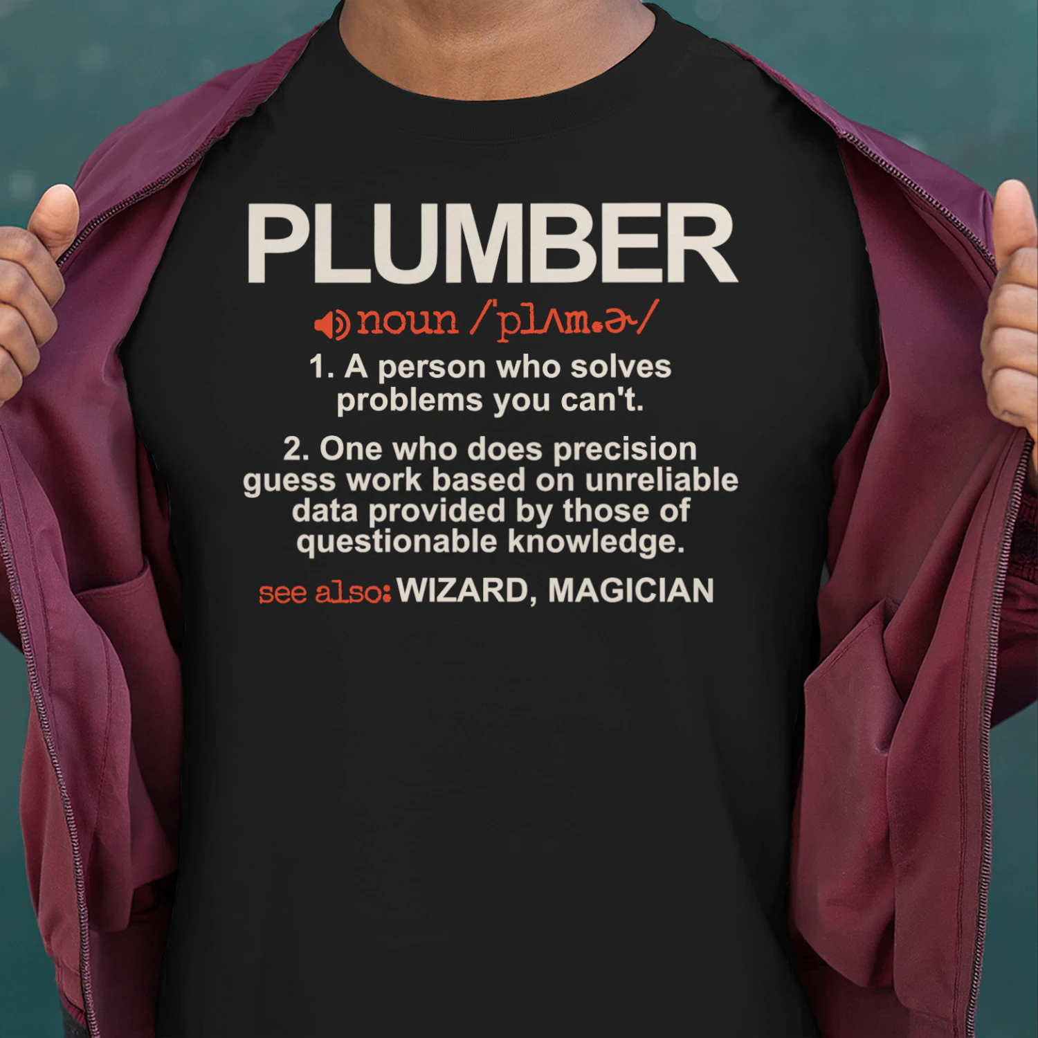 Plumber - A Person who solves problems you can't