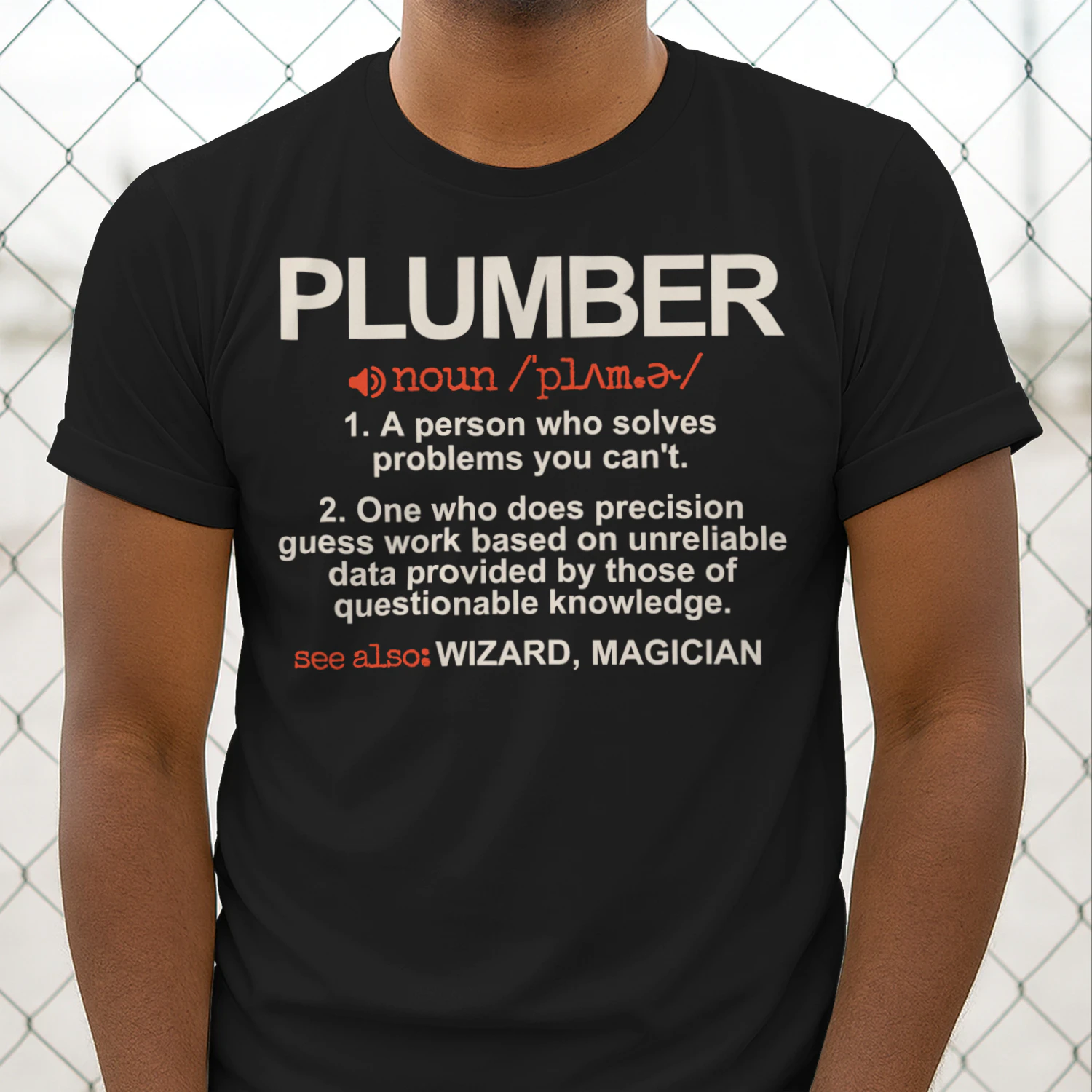 Plumber - A Person who solves problems you can't