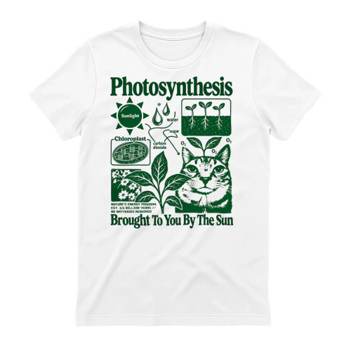Photosynthesis Cat