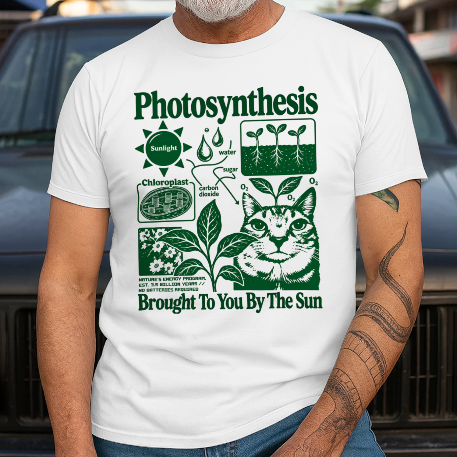 Photosynthesis Cat