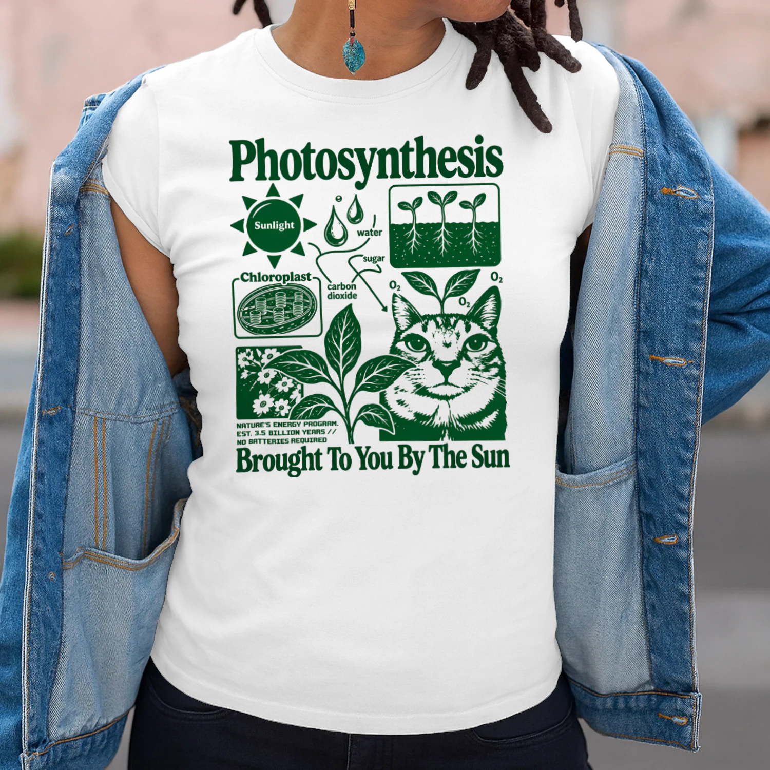Photosynthesis Cat