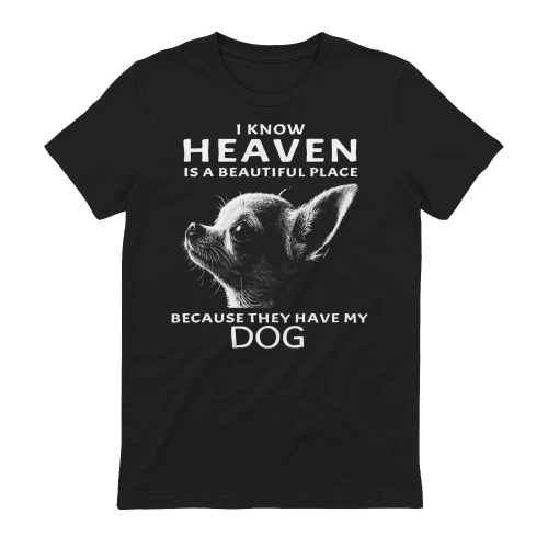 My Chihuahua