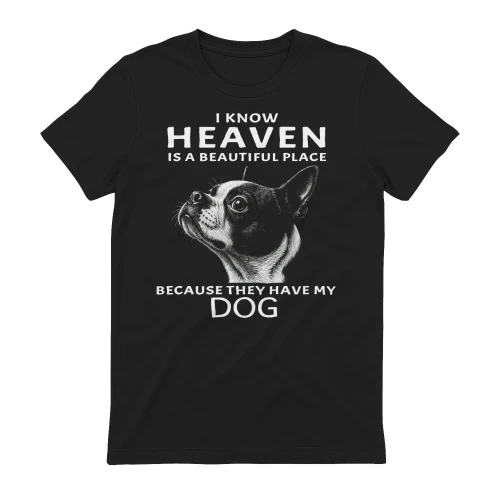 My Boston Terrier