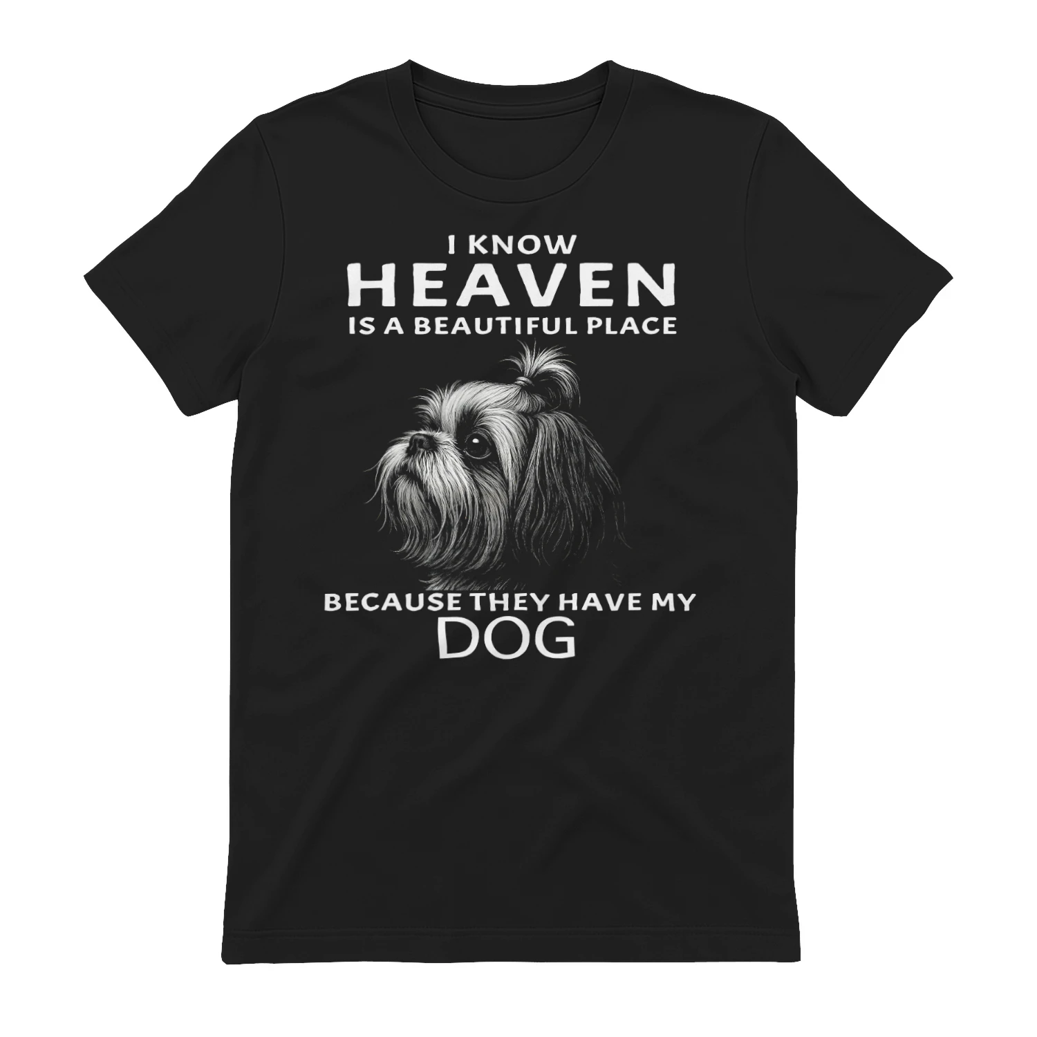 My Shih Tzu