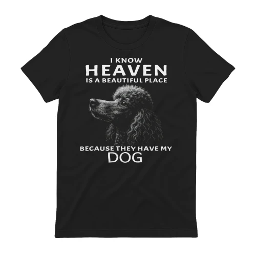 My Poodle